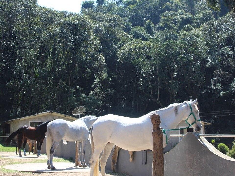 Hotel Fazenda Apm Caieiras Екстер'єр фото